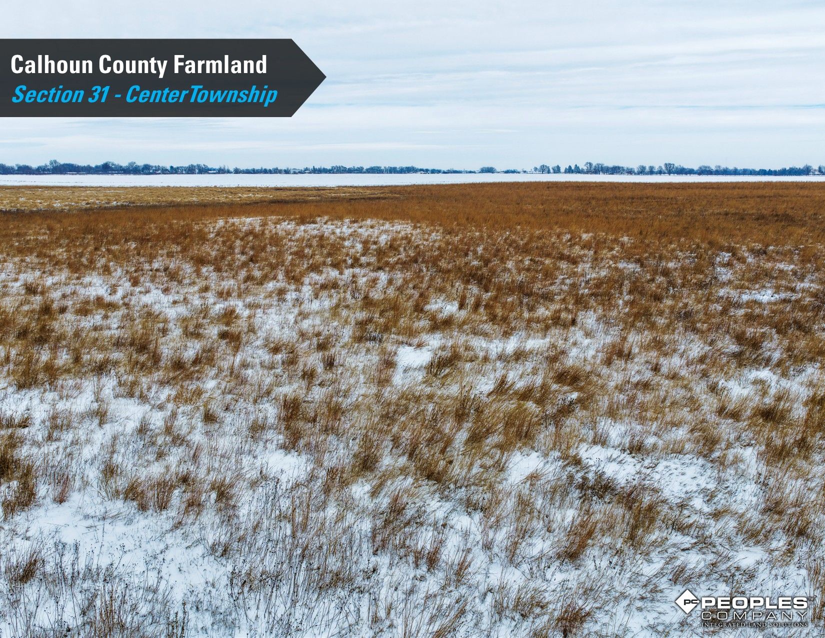 Listing Photo: Calhoun-County-Iowa-Farmland-Available-78.4Acres-Rockwell-City-18822 (16)